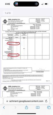 Mold report per apartment management