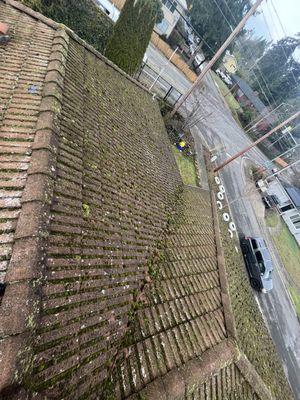 Tile roof moss