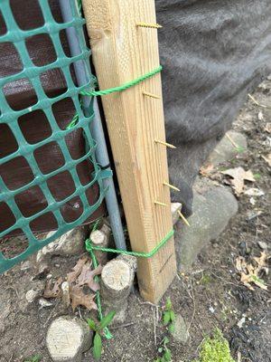 Dangerous Sharp nails sticking out of random fixtures put up with unpermitted fence, trees cut down stating Mandy allowed this