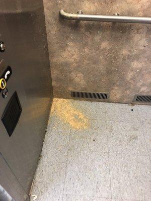 Elevator vomit as mentioned