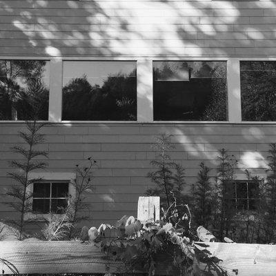 The studio windows overlook two acres of garden, a creek with a small waterfall, and a hillside of pine and evergreen trees.