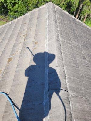 roof cleaning