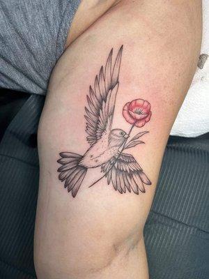 Iron Quill Tattoo