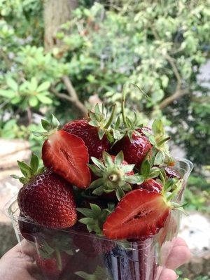 Pint of strawberries ($3.50)