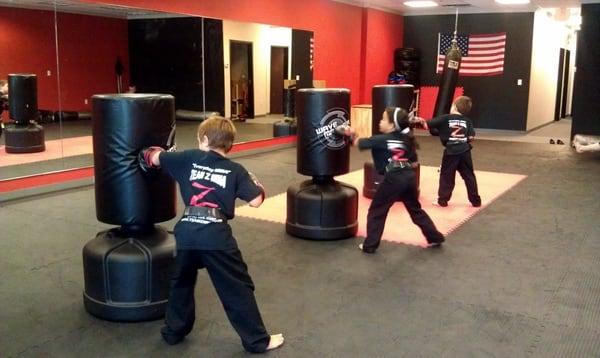 Team Z MMA Fitness Center