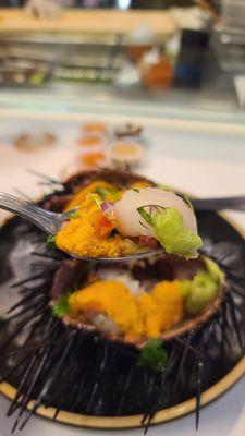 Live Sea Urchin & Scallops ($27) from Holbox  12-03-2023