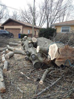 Tree removal