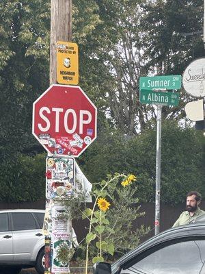 North Portland on Albina and Sumner