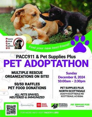 Meet your new best friend at the PACC911 Pet Adoptathon! We'll have over 20 rescues on-site, plus goodies and giveaways!