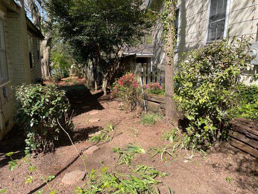 Cleared side yard