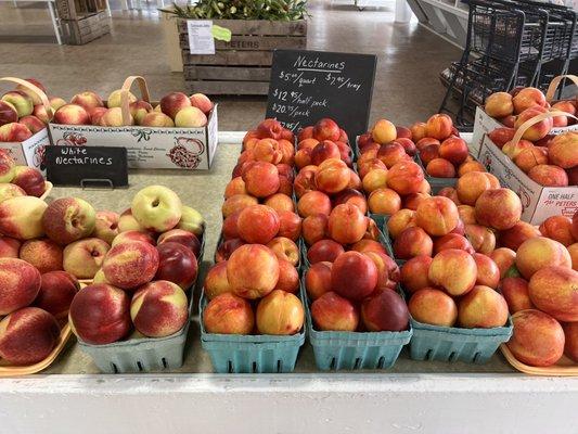 beautiful nectarines