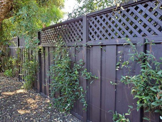 Residential fence repainted