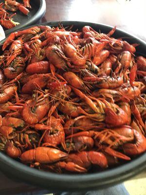 Best crawfish on the northshore .