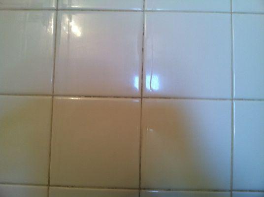 Tile & Grout before cleaning, sealing and dying.  Soap scum, calcium build up, mold in grout lines...