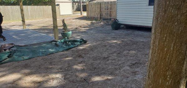 Former back yard / dining area - the tables were up at the front on this visit