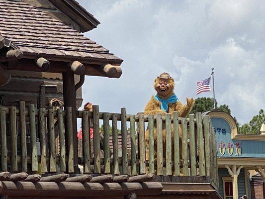 Bears on the roof waiting for the parade