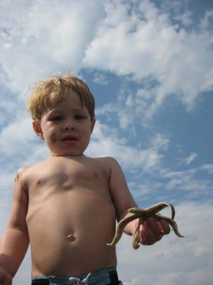 Boy With Starfish on North Forest Beach, Hilton Head, SC