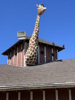 Montebello Barnyard Zoo