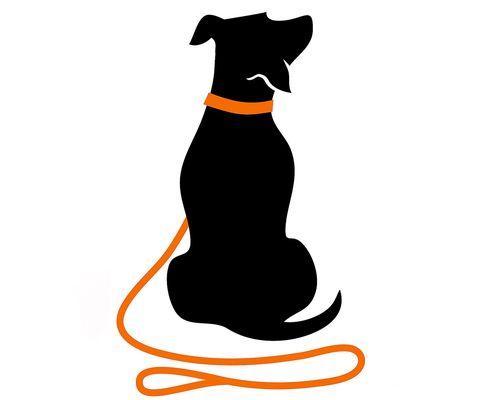 Clever Canine Logo