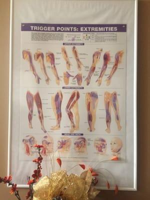 We are focusing on Trigger Points to satisfy clients' relaxation.