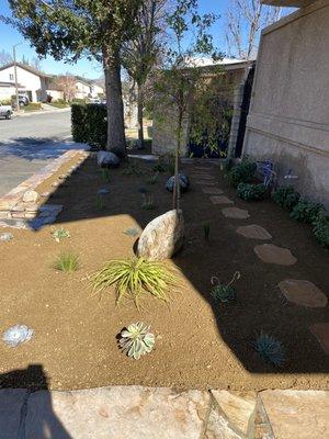 Finished masterpiece, decompose granite and underground drip system.