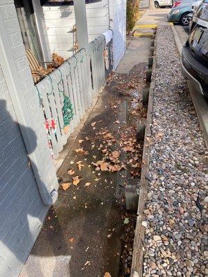 More water and leaves in front of our home..