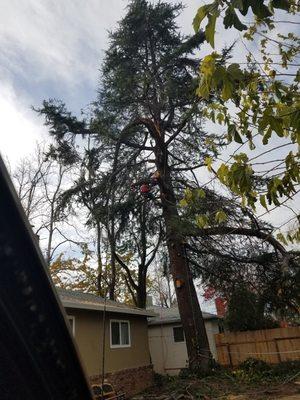 Storm damage removal Redding California