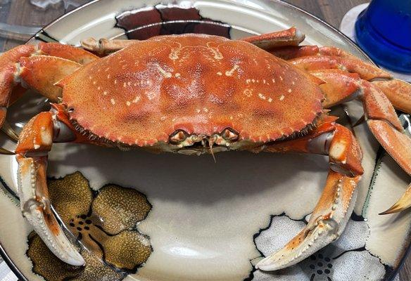 Crab from vendor at Umpqua Valley Farmers Market