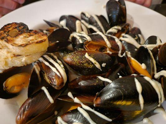 Mussels