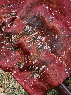 Curtains with bed bugs