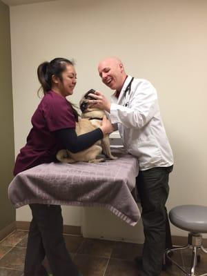 The vet checking his teeth... All good!