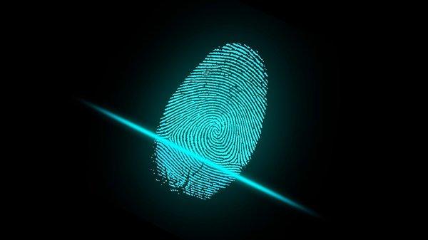 We do ink & digital fingerprinting