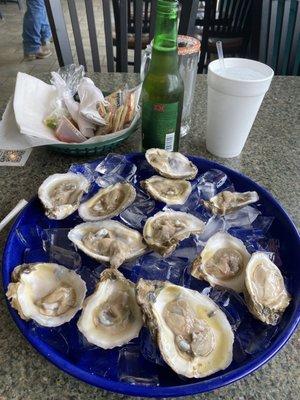 Dozen raw oysters