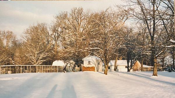 A very snowy evening 1996