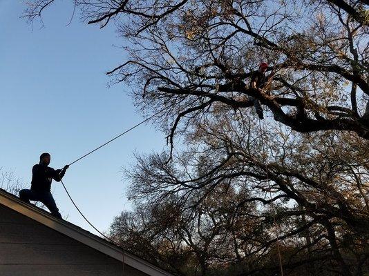 We are always careful when working above your house so we don't damage your roof or shingles.