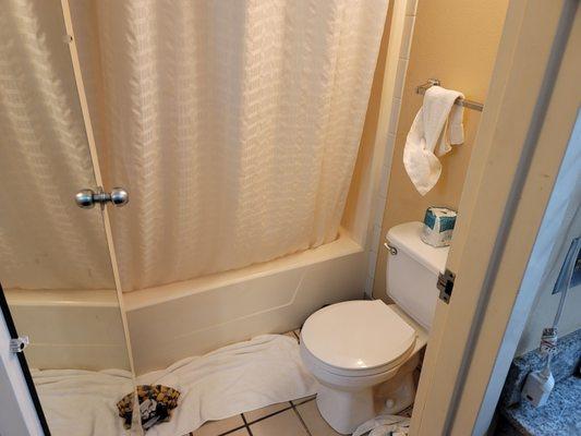 1990s hotel standard bathroom, with rusted door hinges and severe water damage to the door. Have some pride and fix your stuff