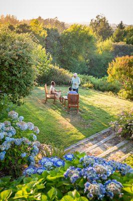 Garden at Halleck Vineyard, the oldest accessible Pinot Noir Vineyard in Sebastopol.