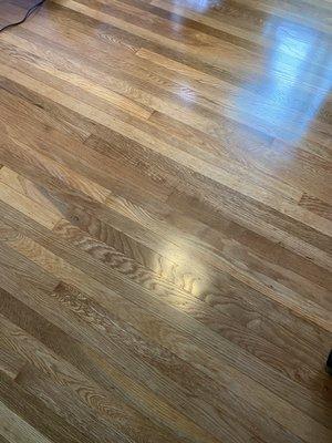 Beautiful job with our original floors. The blue in the photo is just a reflection from the walls and the sunlight through the window.