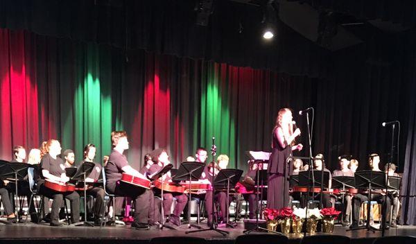 Grovetown High Guitar Orchestra under the direction of Mary Cleary.