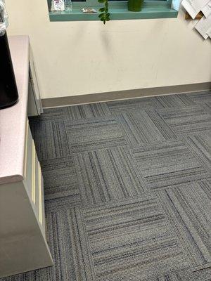 Office carpet cleaning