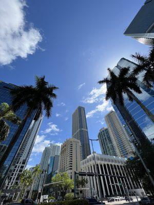 Panorama is the tallest residential tower south of New York. Beautiful day in the Brickell neighborhood!