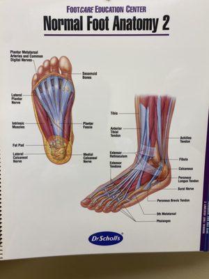 Reflexology massage