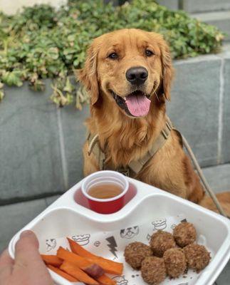 nugget woofbowl