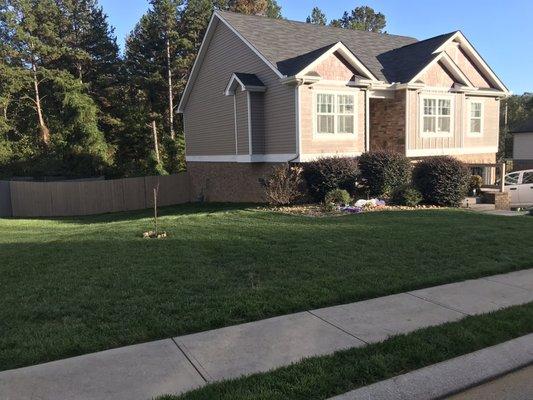 Side yard. There is a huge contrast at the property line. It's night and day compared to the neighbors.