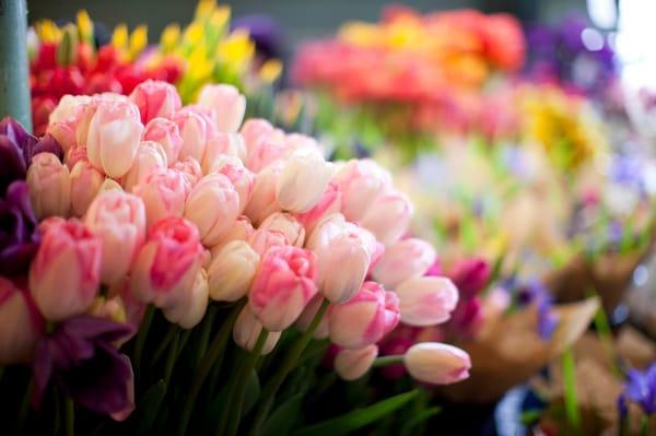 flowers from the shop