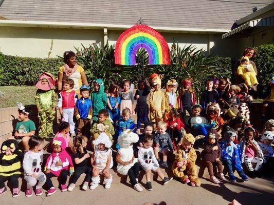 Noah's Ark Day celebration