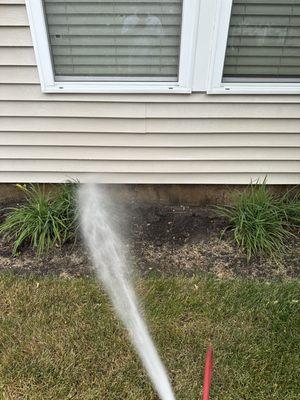 Treating the foundation and mulch around the home to stop ants and spiders form entering.