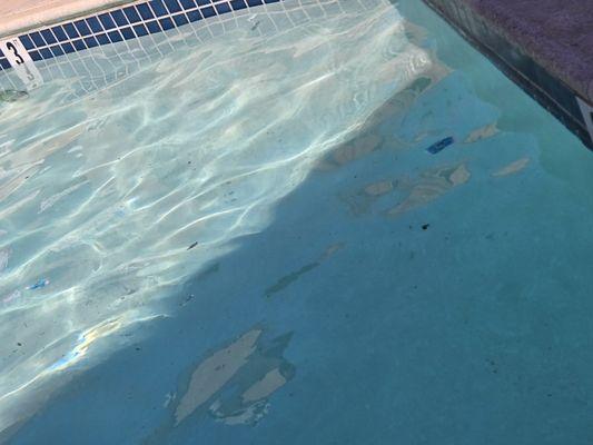 Pool is always dirty for 500 a month  worst company ever