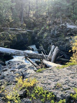 Rogue Gorge Viewpoint