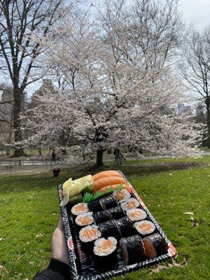 Salmon Box $13 tax included! Fresh and tasty.